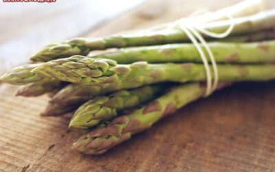 Sagra_Asparago_verde_Altedo