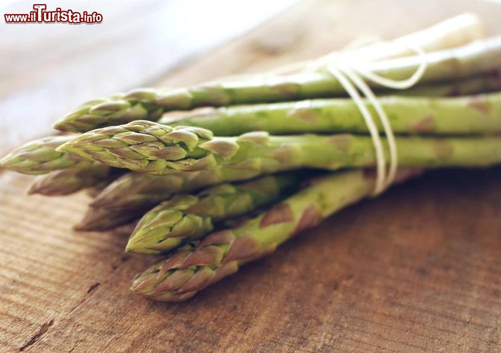 Sagra_Asparago_verde_Altedo