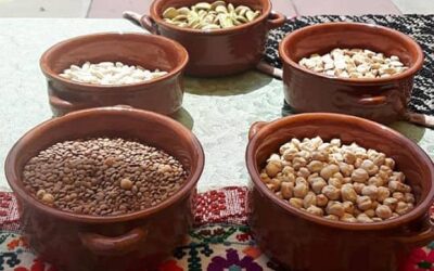 Sagra_dei_Legumi_albagiara