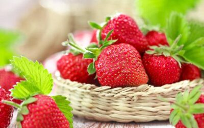 Sagra_della_Fragola_Lagosanto