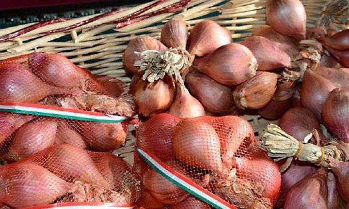 Sagra_scalogno_piacentino