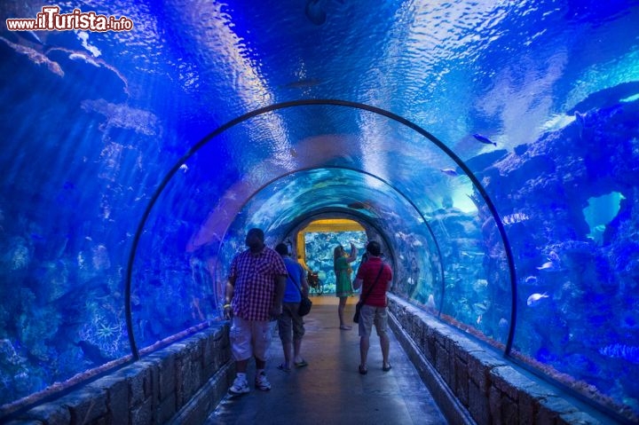 10 cose da fare e da vedere a Las Vegas