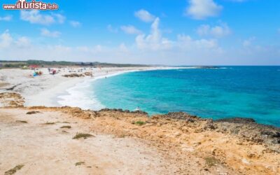Spiaggia_Is_Aruttas_penisola_Sinis_Sardegna_252774538