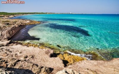Spiaggia_di_Punta_Suina_a_sud_di_Gallipoli_Salento_Puglia_113911981