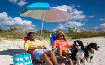 Spiaggia_pet_frendly_per_cani