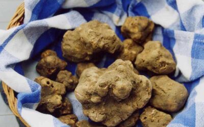 Tartufo_patata_Pietralunga