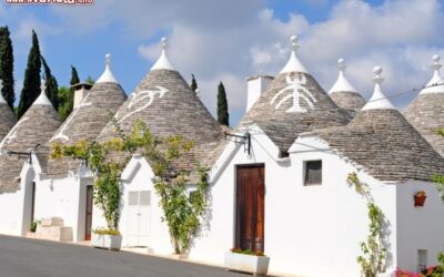 Tour_Valle_dItria_Trulli_di_Alberobello_Puglia_88013554