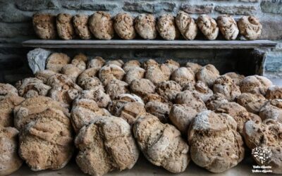 VALLE-DAOSTA-Pane-nero-Seissogne-foto-Enrico-Romanzi-3646