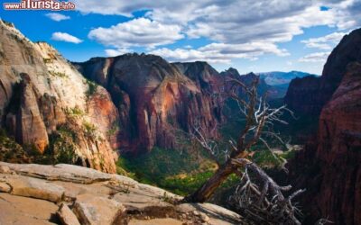 Valle_Dentro_Parco_Zion_USA_108775829