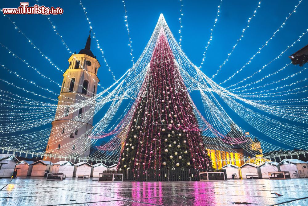 a_vilnius_viene_allestito_in_piazza_uno_degli_alberi_di_natale_piu_belli_del_mondo