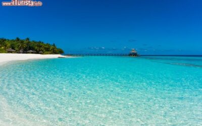 acqua_turchese_sabbia_bianca_atollo_di_baa_maldive
