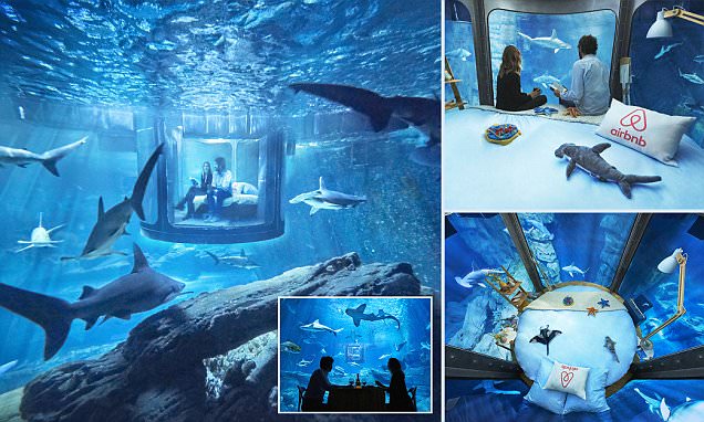 02_InsideAquarium_NoFred.jpg