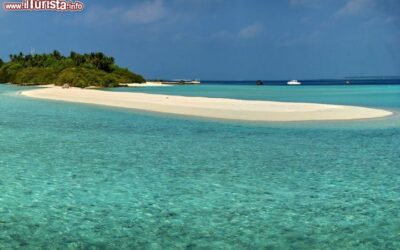 asdu_maldive_spiaggia_atollo_male_nord