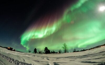 aurora_boreale_in_lapponia_nei_dintorni_di_rovaniemi_in_finlandia
