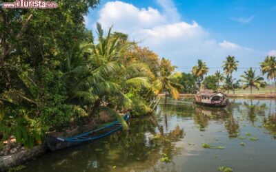 backwaters_alleppey_kerala_india