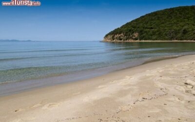 cala_violina_scarlino_mare_toscana-1