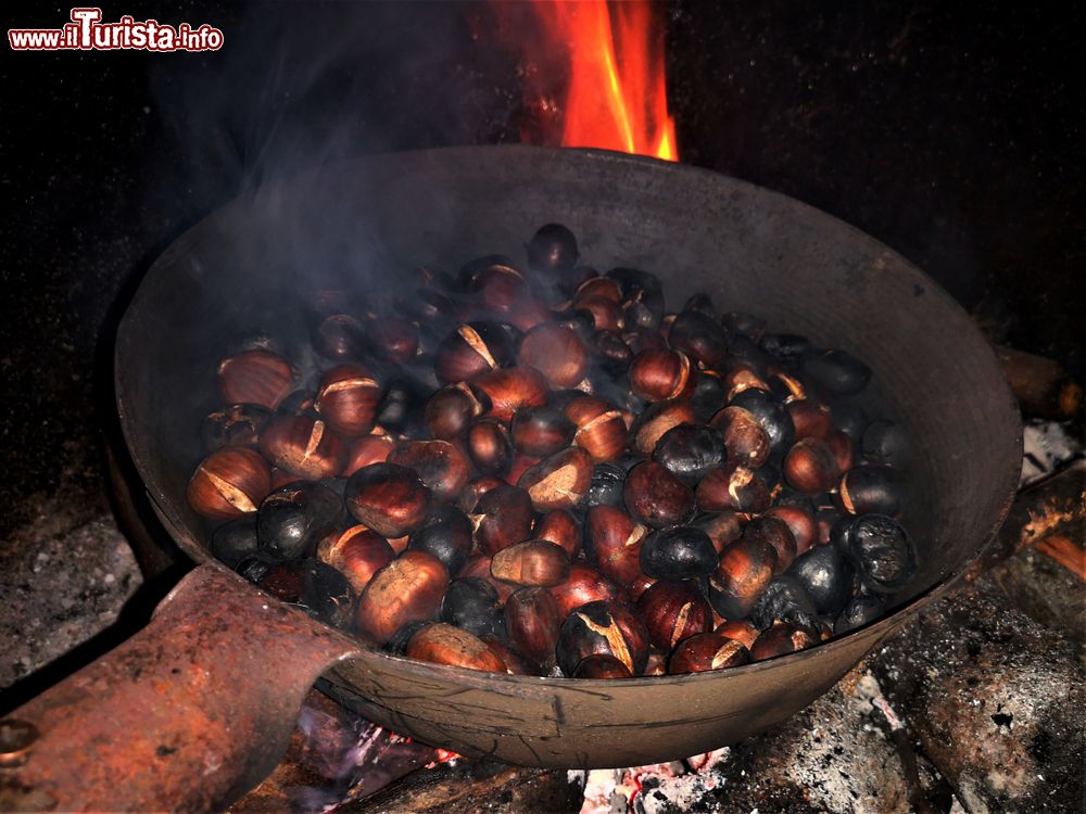 campiglia_d_orcia_toscana_la_festa_della_castagna_in_autunno