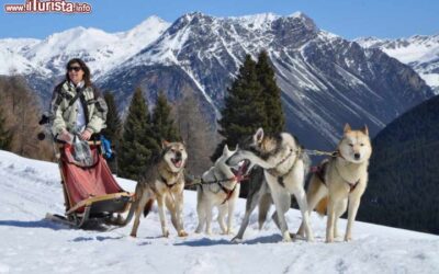 cani_da_slitta_sleddog_husky_village_arnoga_valtellina