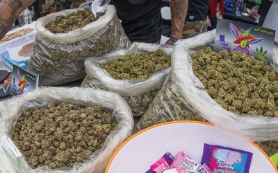 cannabis