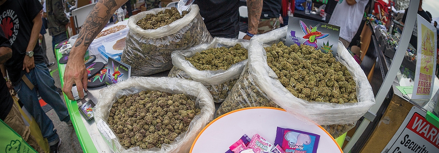 cannabis