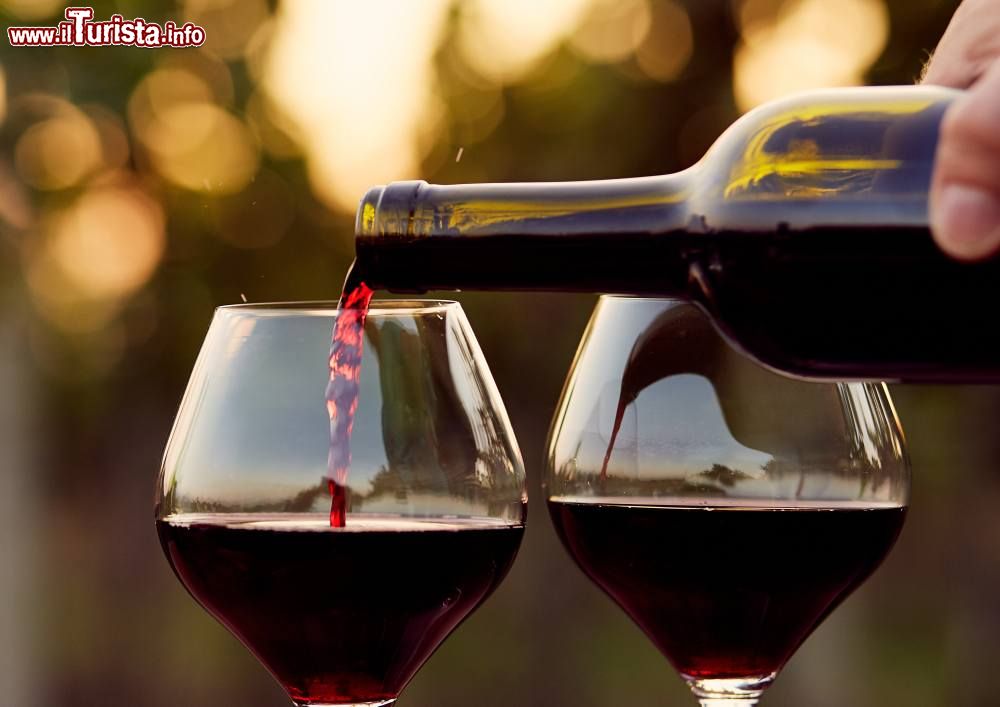 castagnole_monferrato_piemonte_la_festa_del_vino_ruche