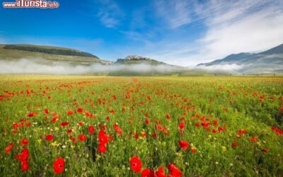 castelluccio fiorita umbria castelluccio fiorita umbria