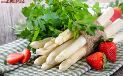 cilavegna_lombardia_la_sagra_dell_asparago_bianco