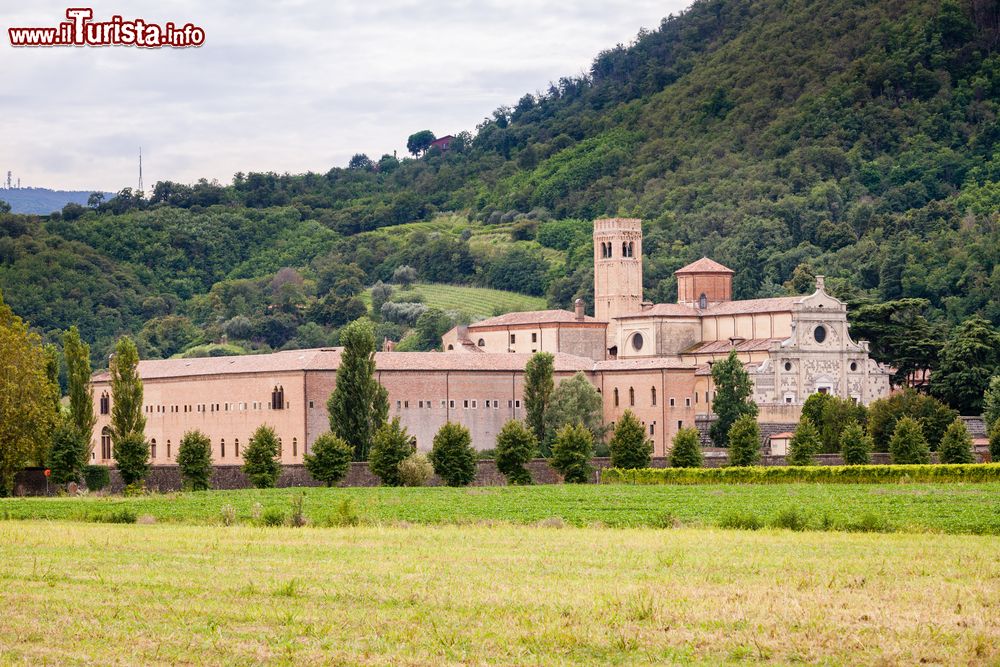 I Colli Euganei in Veneto: itinerario tra vino, arte, storia e gastronomia