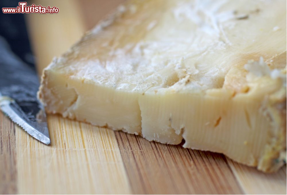 condove_piemonte_la_fiera_della_toma_il_tipico_formaggio_piemontese