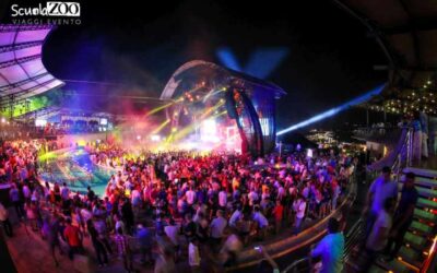 discoteca_Budva_divertimento_notturno