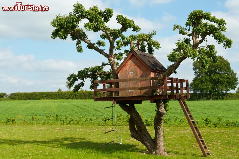 dove_dormire_e_mangiare_sugli_alberi_in_italia2