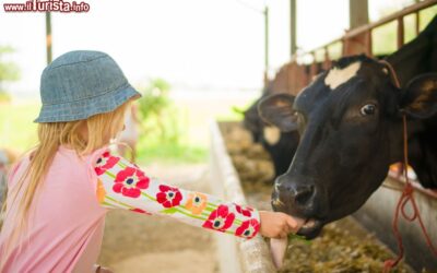 fattorie_didattiche_in_toscana_bambini_famiglia