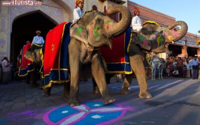 festival_degli_elefanti_a_jaipur_in_india