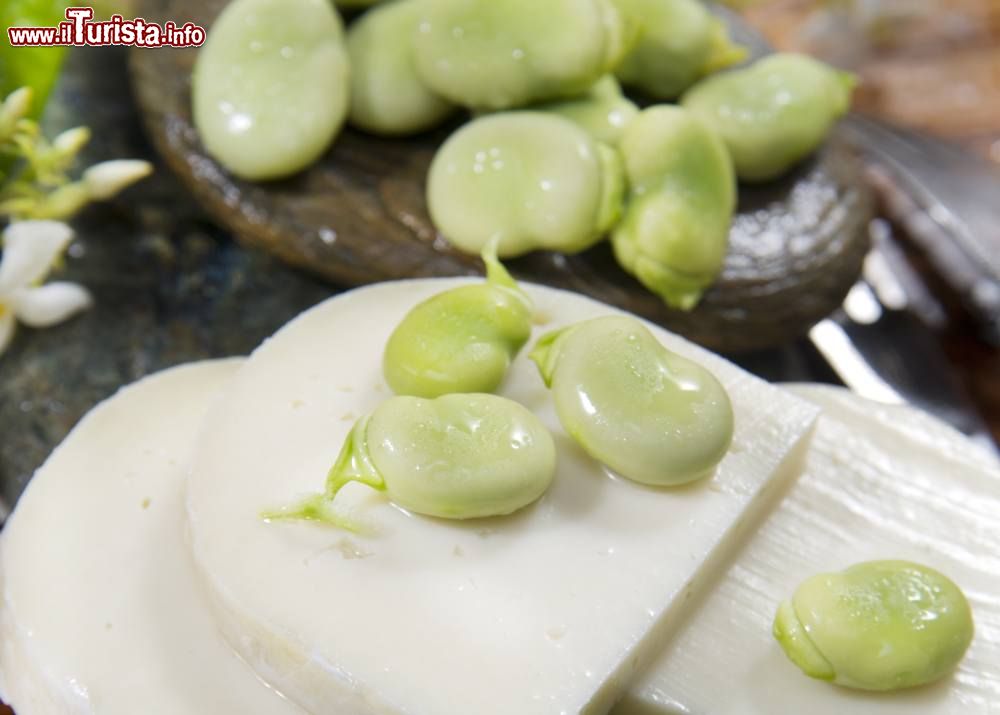 filacciano_lazio_la_sagra_delle_fave_e_del_pecorino