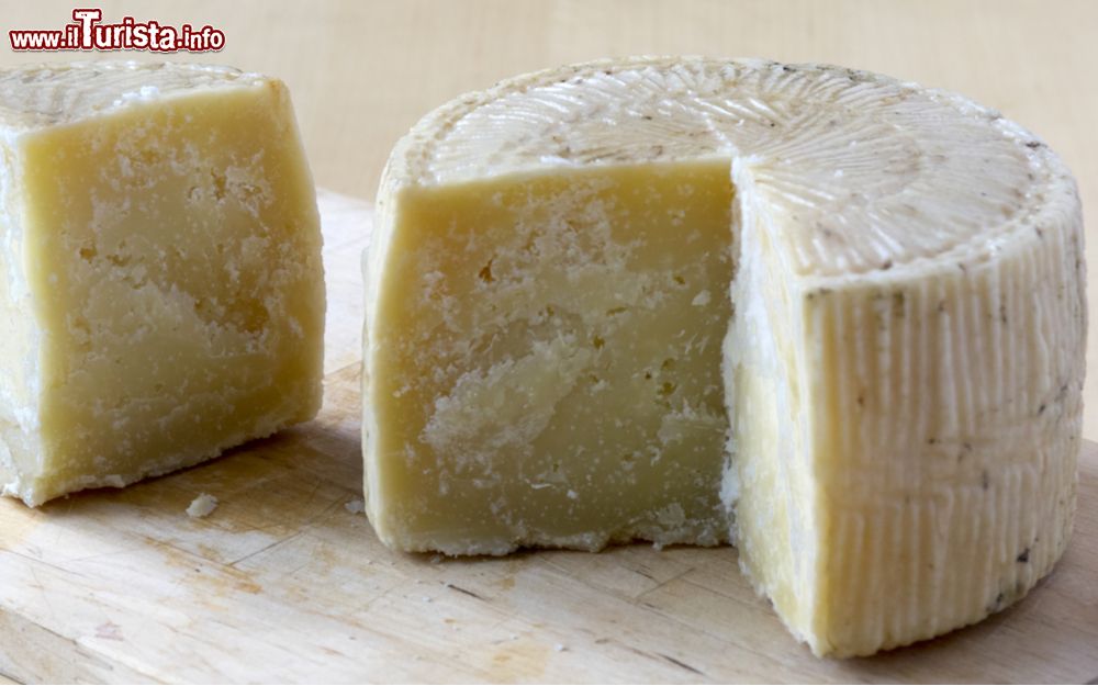 filiano_basilicata_la_sagra_del_pecorino