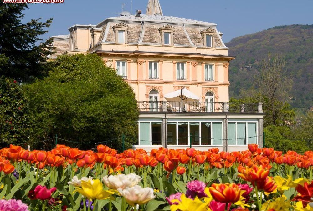 La fioritura dei tulipani in Italia, dove e il periodo per ammirarla