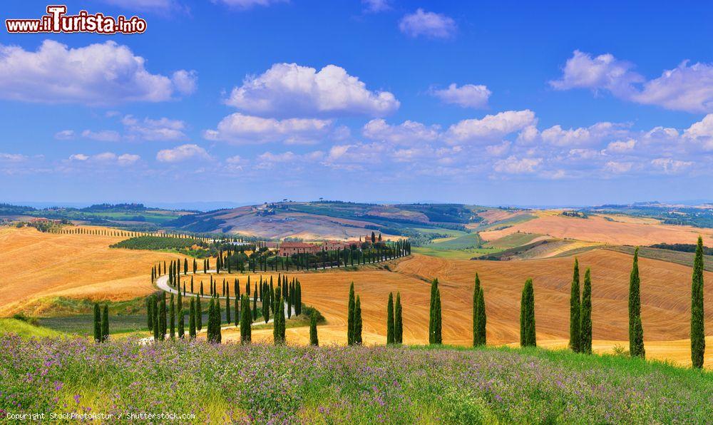 i_paesaggi_incantati_della_val_d_orcia_in_toscana_siamo_in_provincia_di_siena