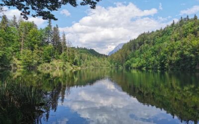 ii_langsee_un_lago_balneabiole_vicino_a_kufstein