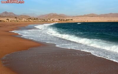 il_mare_rosso_nella_penisola_del_sinai_a_nabq_bay_in_egitto
