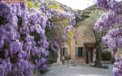 il_mas_notre_dame_de_vie_a_mougins_jguido_mougins
