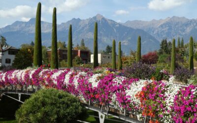 il_merano_flower_festival_si_svolge_in_primavera_in_varie_location