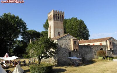 il_palio_dello_sparviero_al_castello_di_san_martino_della_venanza