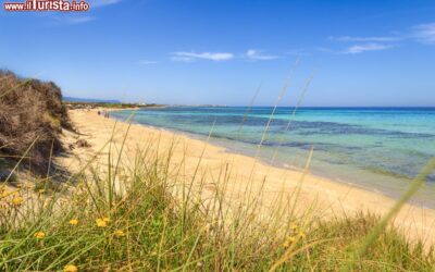 il_parco_regionale_delle_dune_costiere_e_una_delle_spiagge_di_ostuni_in_puglia_costa_adriatica_del_salento