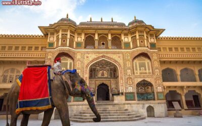 il_triangolo_d_oro_in_india_un_elefante_tradizionale_davanti_al_forte_d_amber_a_jaipur