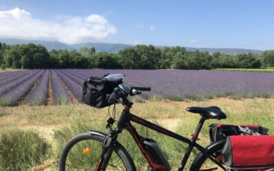 in_bicicletta_tra_la_lavanda_del_luberon_provenza