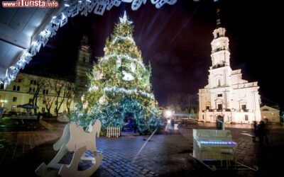 kaunas_piazza_del_municipio_natale_albero