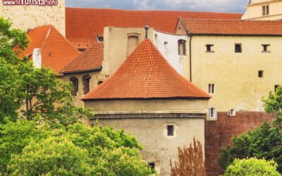 la_cilindrica_torre_daliborka_allinterno_del_complesso_del_castello_di_praga