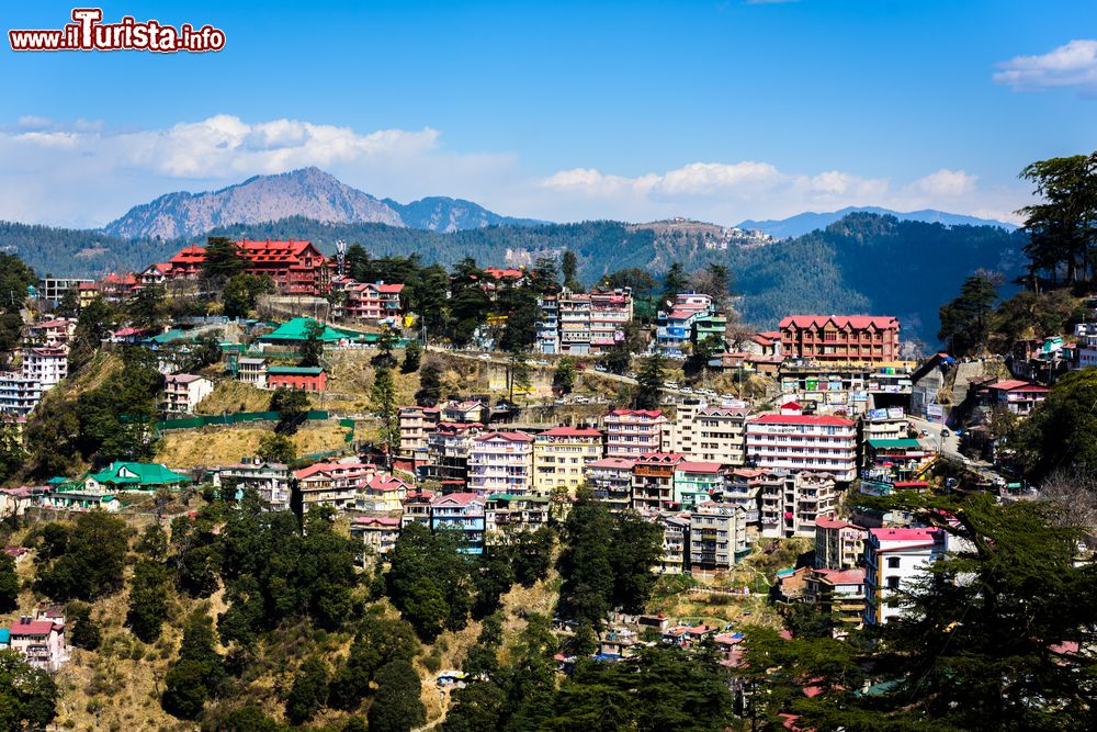 la_cittadina_di_shimla_stato_federato_dellhimachal_pradesh_india