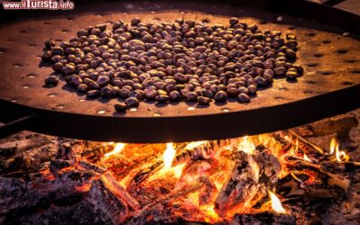 la_festa_dei_marroni_la_sagra_della_castagna_a_combai_in_veneto
