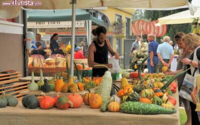 la_festa_della_zucca_si_svolge_in_settembre_a_piovezzano_di_pastrengo_in_veneto